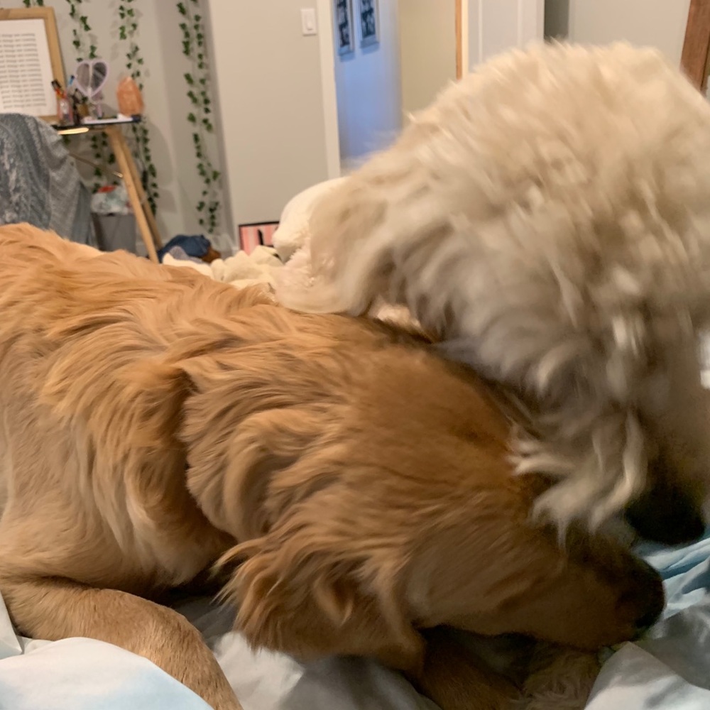 Meet your Posher, Marissa